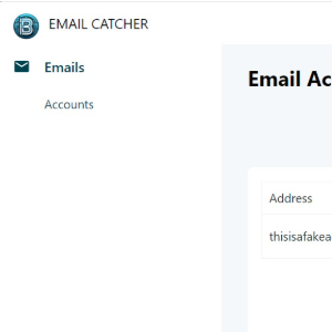 Email Catcher project screenshot
